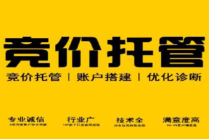 SEM代理服务在某企业的应用实践